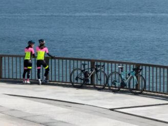 プロモ水仙郷＆プロモ丸山テラス